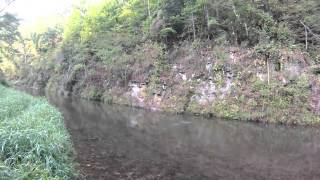 Streamer fishing the Kinnickinnic River Wisconsin [upl. by Maurise]