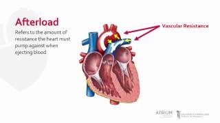 Cardiac Afterload [upl. by Qerat]