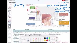 Dibetes Mellitus Pharmacology therapy endocrinology 85  First Aid USMLE Step 1 in UrduHindi [upl. by Slaughter651]