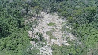 Crucitas ¿legalizamos la minería  Era Verde [upl. by Eahsel151]