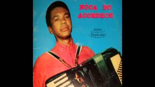 Noca do Acordeon toca BAIÃO DA SAUDADE de Noca do Acordeon e Leonel Cruz  1961 [upl. by Lledualc]