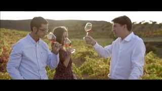 Discover the wonderful Land of Garnacha [upl. by Fredrika]