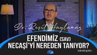 RECEP AYININ İKİNCİ HAFTASINDA NELER OLDU  Dr Reşit HAYLAMAZ  2 BÖLÜM [upl. by Annaillil]