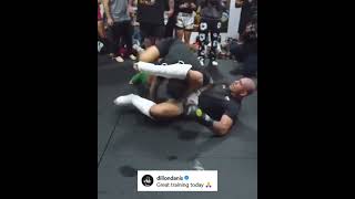 Alex Pereira vs Dillon Danis Epic Sparring Session 😳🥊 UFC MMA BJJ [upl. by Epoillac]