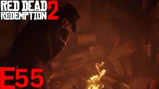 ARCHEOLOGY FOR BEGINNERS Red Dead Redemption 2  Part 55 [upl. by Gaal]