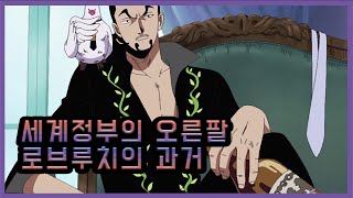 위뷰세계정부의 오른팔 로브루치의 과거 [upl. by Nhaj]