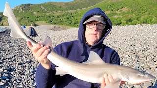 Minehead Festival 2024 Fishing Competition Bristol Channel [upl. by Etak803]