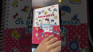 Planners 2025 Hello Kitty e Stitch [upl. by Everson]