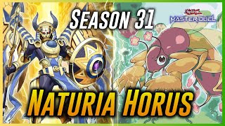 Naturia Horus Season 31  Master Duel Rank Match Replay  Yugioh 遊戯王 2024 [upl. by Nedlog934]