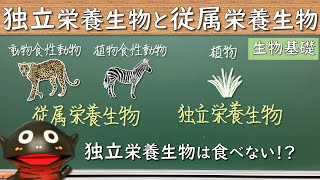 独立栄養生物と従属栄養生物【28生物基礎】2022年度入学以降の新課程に対応 [upl. by Etteval192]