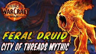 Feral Druid Dps  The War Within  POV  City of Threads Mythic  Build Druid of the Claw druid [upl. by Michigan]