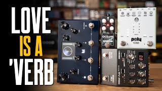 Awesome Reverb Pedals For Guitar Meris Mercury X Poly Verbs Boss RV200 amp EHX Oceans 3Verb [upl. by Nivat790]