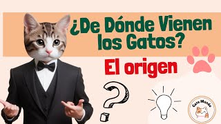 La Sorprendente Verdad Sobre el Origen de los Gatos [upl. by Ulberto451]