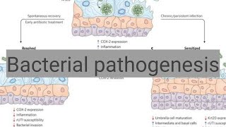 Bacterial pathogenesis [upl. by Shwalb]