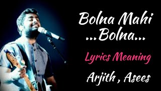 BOLNA MAHI BOLNA LYRICS MEANING [upl. by Auston]