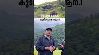 100 ലിറ്റർ വെള്ളം കുടിക്കുന്ന ആന  Periyar Tiger Reserve  shorts [upl. by Inalial]