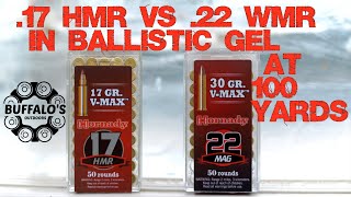 VMAX BALLISTIC GEL TEST  22 WMR vs 17 HMR [upl. by Rochell]