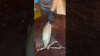 Expertenfertigkeit im Fischschneiden  Expert Cutting Fish Skill fish 特大魚の捌き方 fishing [upl. by Sue]