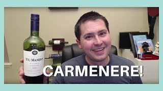 Viu Manent Carmenere Wine Review [upl. by Ayinat]