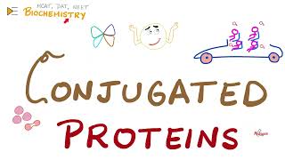 Conjugated Proteins  Biochemistry Series [upl. by Fihsak352]