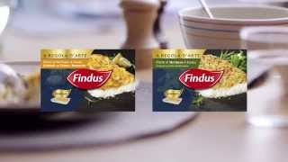 Findus Filetto di merluzzo gratinato Le differenze [upl. by Aeriell912]