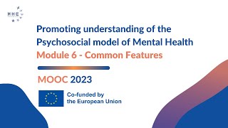 6 The Psychosocial Model of Mental Health  Common features [upl. by Tneicniv]