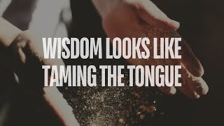 Wisdom Looks Like Taming the Tongue  71424  Darin Mirante [upl. by Annek]