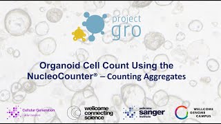 Organoid Cell Count [upl. by Llig]