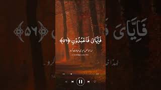 Tilawat Quran Best tilawat with beautiful voice  tilawat islamicholiday madina duet beautiful [upl. by Korella139]