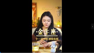 金牛座很吃强制爱 ——金牛座十一月下旬感情发展 金牛座情感塔罗 十二星座 挽回复合 [upl. by Alleahcim]