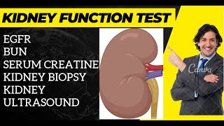 Kidney Function Test  Renal Function Test  BiologyLectures [upl. by Airla398]