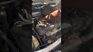 Clean Nissan sentra 14 carb start up plus carb tune [upl. by Ardekal]