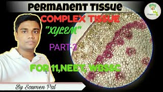 COMPLEXTISSUEXYLEMPLANTANATOMY NEETwbsscfor class ixxi also NCERT LINK [upl. by Neirual]