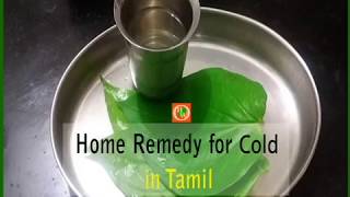 சளிக்கான சிறந்த மருந்து  Home Remedy for Cold in Tamil  Betel Leaf  healthiswealthours [upl. by Teddie]