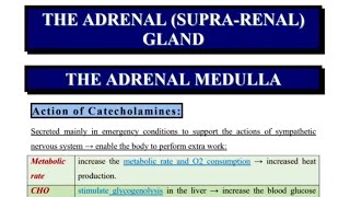 09CatecholaminesAldosteroneCortisol [upl. by Ecnerol]