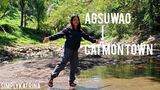 Decending from Brgy Agsuwao to Catmon Town [upl. by Ecertap]