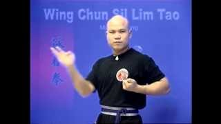 Wing Chun kung fu siu lim tao  form applications Lessons 210 [upl. by Nally]