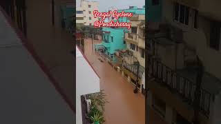 Fengal Cyclone pondicherry pondicherry pondicherryrains rain rainsounds cyclone fengal [upl. by Lihas571]