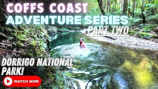 BEST WATERFALLS ON THE COFF COAST  DORRIGO NP  Red Cedar Falls Casuarina Falls amp Coachwood Falls [upl. by Rotow232]