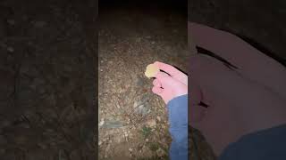 Rock  Hill Part 1 edit funny rockvshill [upl. by Aikemal999]