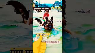 New Khesari Lal Bhojpuri shortsshortsviral gangawaterflowfloodsong [upl. by Macilroy]