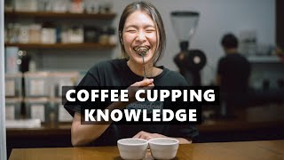 Coffee Cupping Knowledge  Samadool Coffee [upl. by Nelak831]