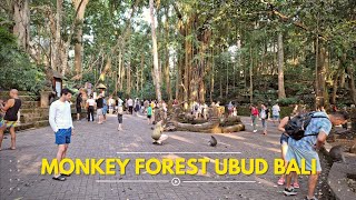 Monkey Forest Ubud Bali Hutan Ditengah Kota [upl. by Euqinotna8]