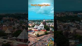 Worlds biggest festival Rath Yatra 🙏 shorts viral puri rathyatra jagannath [upl. by Aggappe172]