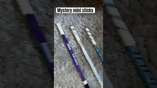 Mystery mini sticks hockey mystery mini [upl. by Perdita]