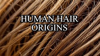 Human Hair Began in This Way The Unexpected Origin Story [upl. by Peri]