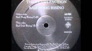 The Flash Faction  Bad Moog Rising [upl. by Werdnaed]