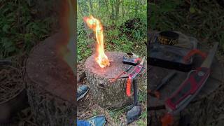 Fatwood Fire using Mini Fire Kit and Swiss Army Knife shorts [upl. by Jacobo518]