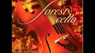 Dan Gibson  Solitudes  Forest Cello  02 Cool Forest Rain [upl. by Elleneg730]