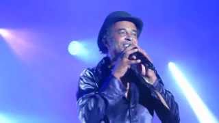 YANNICK NOAH  Les Lionnes Pause Guitare 2015 [upl. by Ettennek]